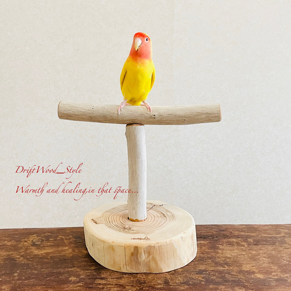 天然木流木の止まり木7