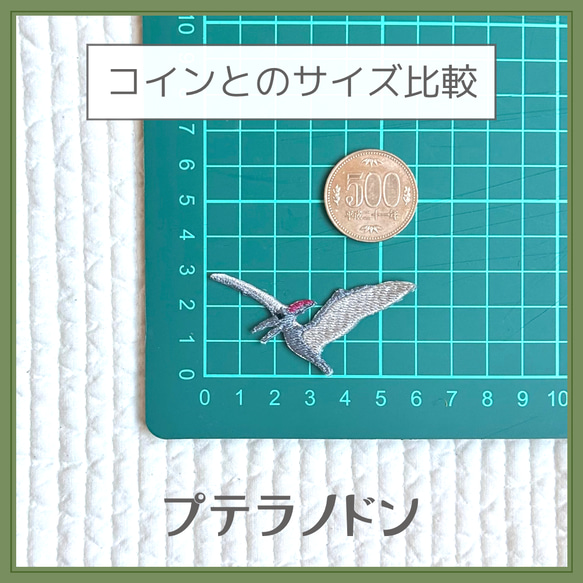 【雑誌掲載】恐竜ワッペン 5枚目の画像