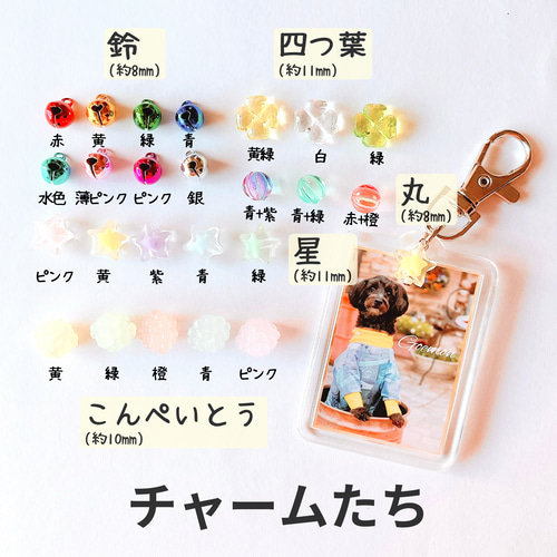 今だけ】チャーム無料！zenの飛び出すうちの子シリーズ！世界に1