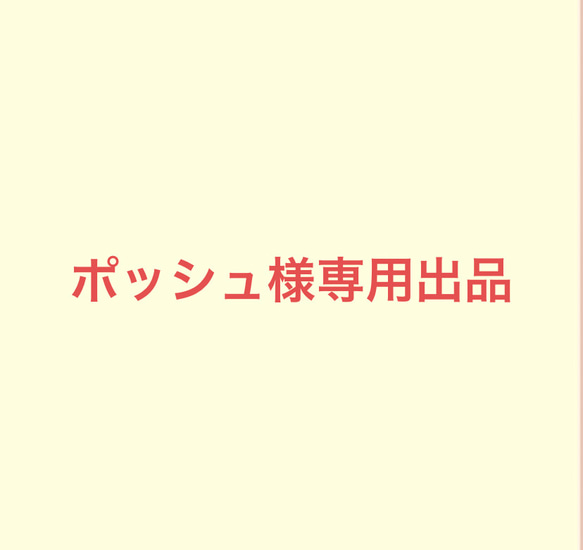 ポッシュ様専用出品 1枚目の画像