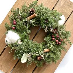 針葉樹のクリスマスリース(25㎝) リース Florist lugna 通販 16840147