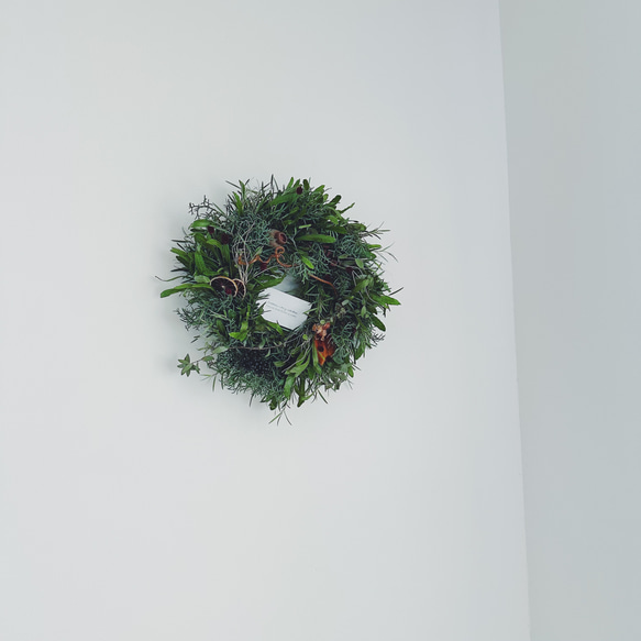 【 Green wreath 】kkガーデンリース　ナチュラルグリーン 3枚目の画像