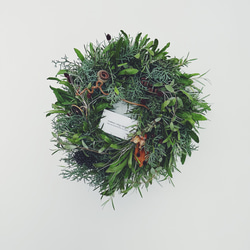 【 Green wreath 】kkガーデンリース　ナチュラルグリーン 1枚目の画像