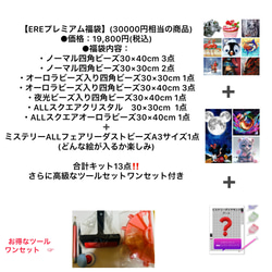 2024年EREプレミアム福袋 全て四角ビーズ ビーズ EREダイヤモンド
