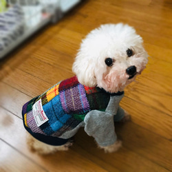 (D) ハリスツイード　12枚　12.5ｃｍ角　 生地　はぎれ　ラベル付き　犬服 6枚目の画像