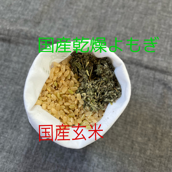  第12張的照片