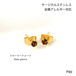 一点物✧スモーキークォーツ/MOPヘリコニアリーフカービングピアス✧ cui-cui / キュイキュイ / ジュエリー＆アクセサリー / シトリン