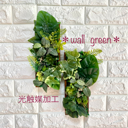 光触媒加工］☆ありそうでなかった縦型BOXウォールグリーン多肉さん