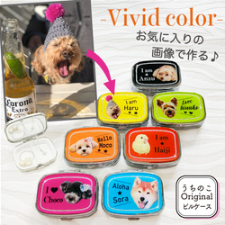 写真で作る うちのこ オリジナル  ピルケース Vivid 愛犬 愛猫 ペット 犬 猫 推し活 うちの子 1枚目の画像