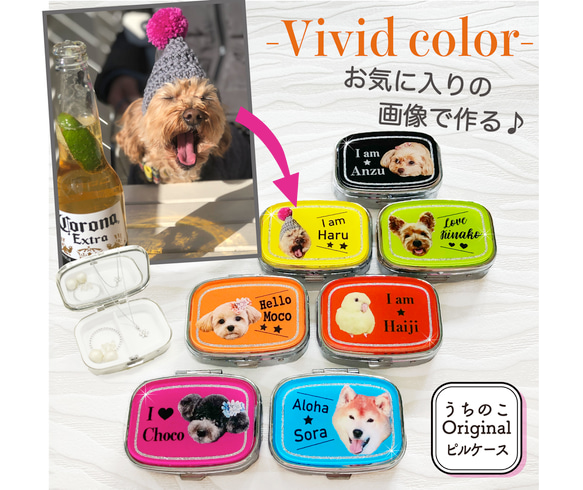 写真で作る うちのこ オリジナル  ピルケース Vivid 愛犬 愛猫 ペット 犬 猫 推し活 うちの子 1枚目の画像