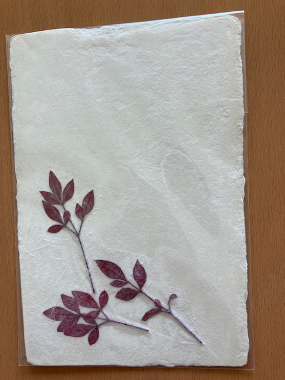 美濃和紙に押し花をアレンジしたポストカード 5枚目の画像