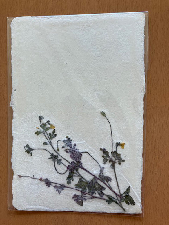 美濃和紙に押し花をアレンジしたポストカード 10枚目の画像