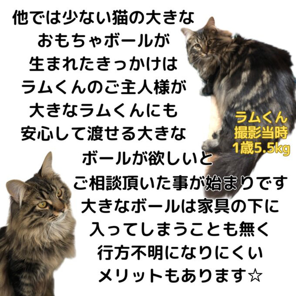 マタタビ入りカシャカシャボール2玉入り 猫のおもちゃ 4枚目の画像