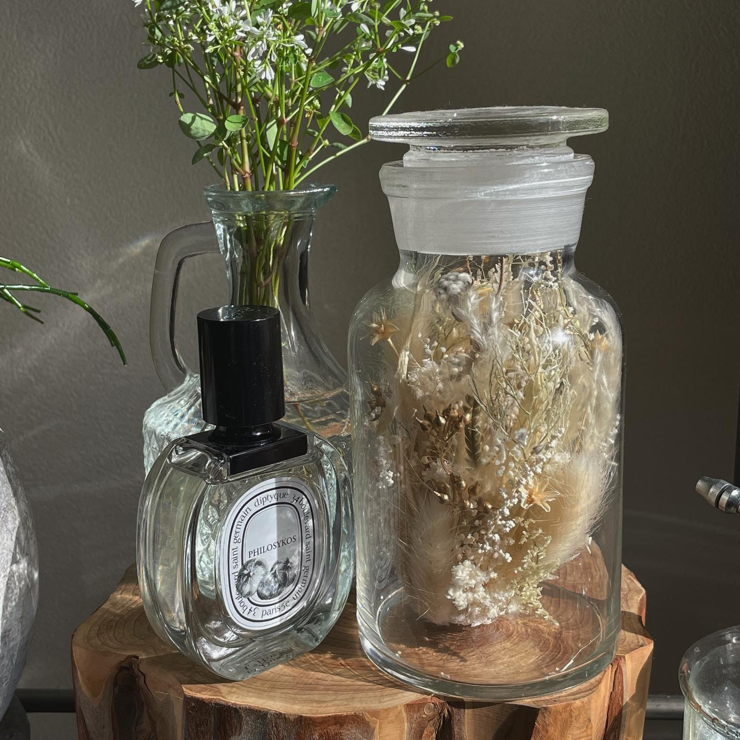 grow in a bottle plants  -HAKU-