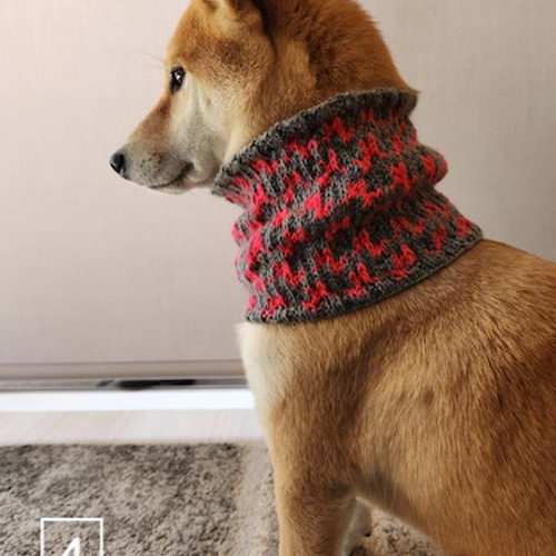 犬用ネックウォーマー ペット服・アクセサリー BB 通販 16843935