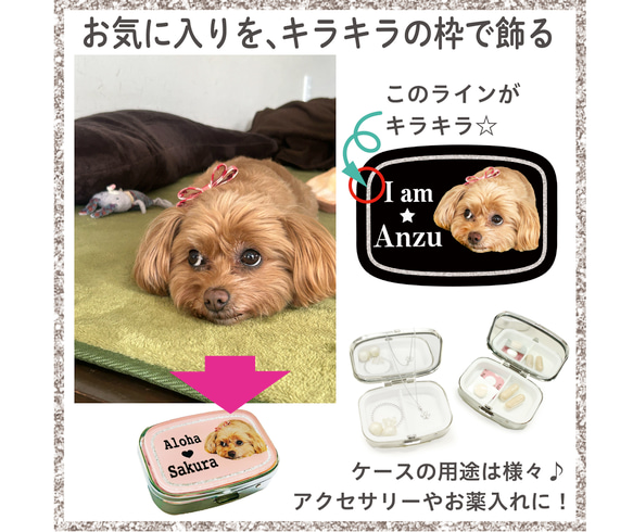 写真で作る うちのこ オリジナル  ピルケース Pastel 愛犬 愛猫 ペット 犬 猫 推し活 うちの子 2枚目の画像