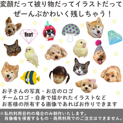 写真で作る うちのこ オリジナル  ピルケース Nuance 愛犬 愛猫 ペット 犬 猫 推し活 うちの子 3枚目の画像