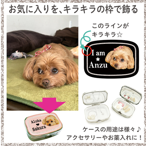 写真で作る うちのこ オリジナル ピルケース Nuance 愛犬 愛猫 ペット
