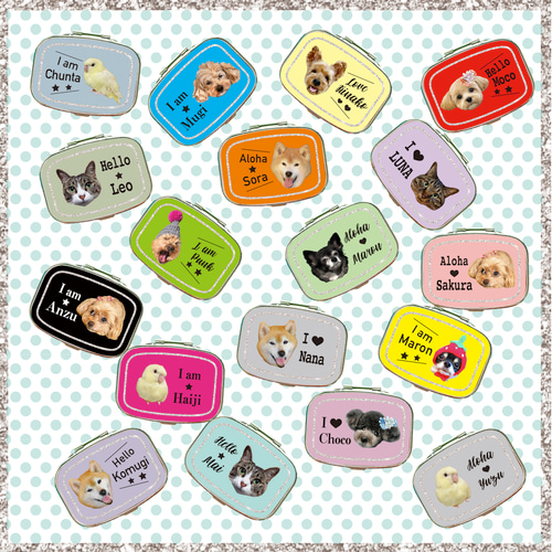 写真で作る うちのこ オリジナル ピルケース Nuance 愛犬 愛猫 ペット