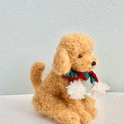 【受注制作】羊毛フェルトの大きなおすわりトイプードル　犬のぬいぐるみ 3枚目の画像