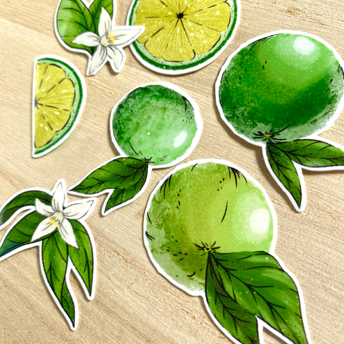 Sudachi Sticker Set すだちのシールセット シール・ステッカー Bonsai