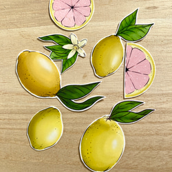 Pink Lemon Sticker Set ピンクレモンのシールセット 1枚目の画像