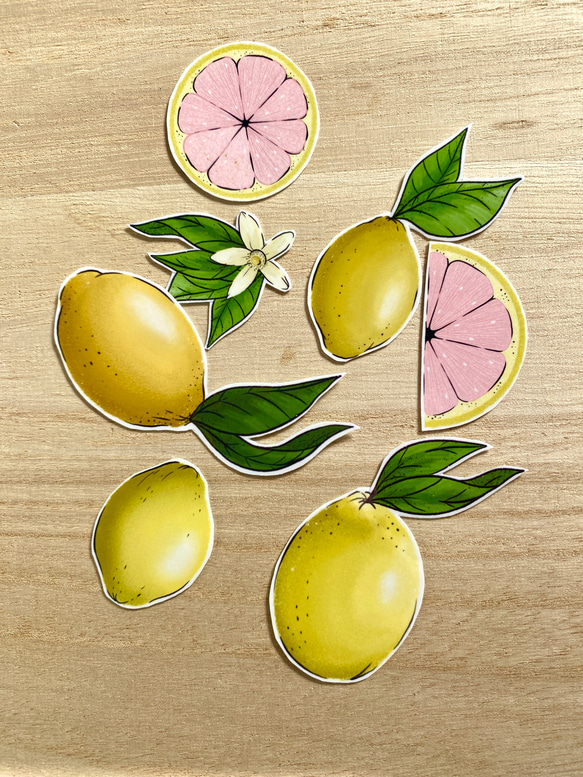 Pink Lemon Sticker Set ピンクレモンのシールセット 1枚目の画像