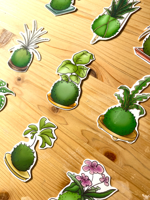 Kokedama Sticker Set (9 piece) - 苔玉のシールセット(９枚） 2枚目の画像