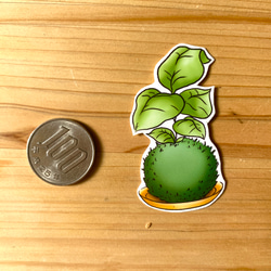 Kokedama Sticker Set (9 piece) - 苔玉のシールセット(９枚） 3枚目の画像