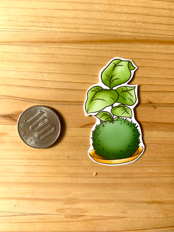 Kokedama Sticker Set (9 piece) - 苔玉のシールセット(９枚） 3枚目の画像