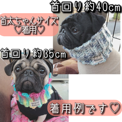 【Lサイズ首太ちゃん用】犬用ネックウォーマー☆スモーキーエメラルド☆アッシュカラー☆中型犬 フレブルパグ等⋆*❁* 2枚目の画像