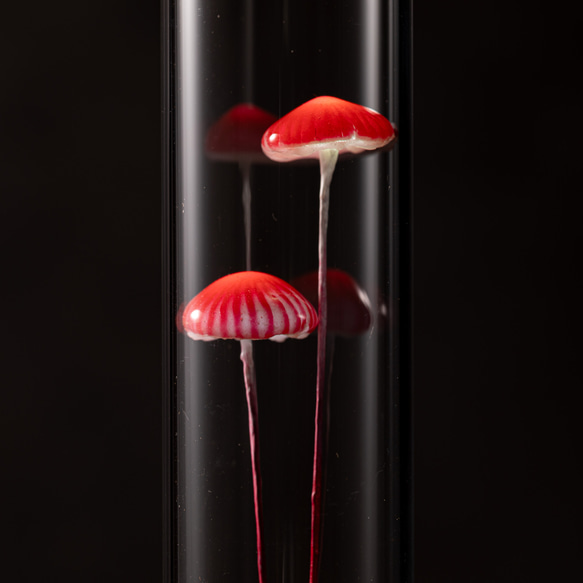 きのこの照明　ベニカサダケ（ツヤ2本） 4枚目の画像