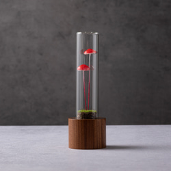 きのこの照明　ベニカサダケ（ツヤ2本） 2枚目の画像