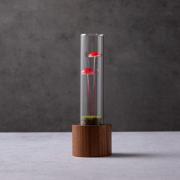 きのこの照明　ベニカサダケ（ツヤ2本） 2枚目の画像