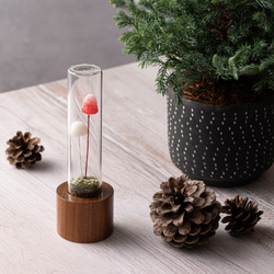 きのこの照明　ホワイト・クリスマス（雪） 1枚目の画像