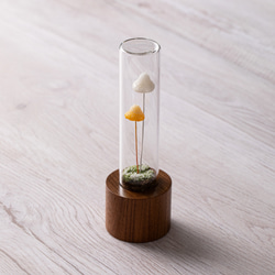 きのこの照明　ベルダケ（雪） 5枚目の画像