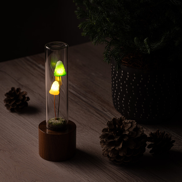 きのこの照明　モミノキダケ（雪） 2枚目の画像