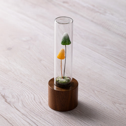 きのこの照明　モミノキダケ（雪） 5枚目の画像