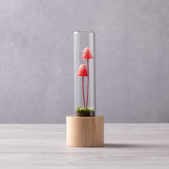 きのこの照明　サンタハット（雪） 3枚目の画像