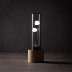 きのこの照明　　スノーボール（雪） 4枚目の画像