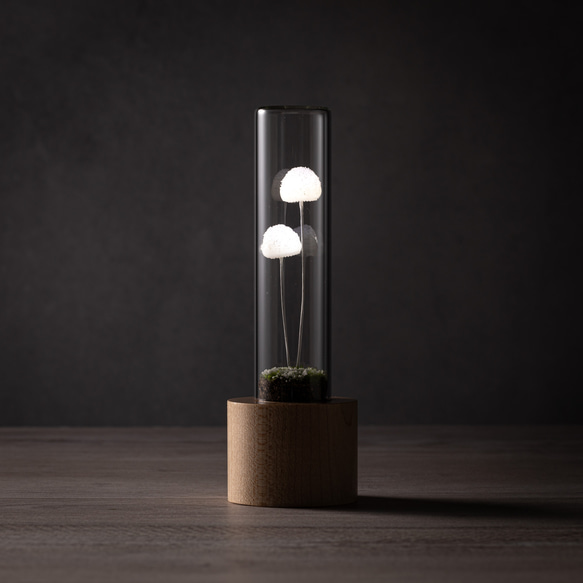 きのこの照明　　スノーボール（雪） 4枚目の画像