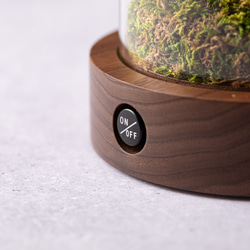 きのこの照明　シラユキダケ（森のかけら） 9枚目の画像