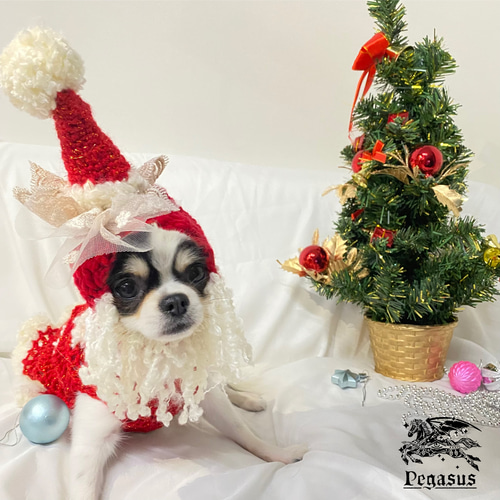 手編み犬服✴︎ 犬服 クリスマス サンタ衣装 サンタクロースワンピース