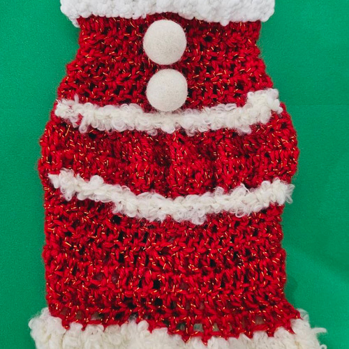 美麗ページ♡クリスマス♡ハンドメイド犬服♡犬服 クリスマスコスチュームに変身🎄🎁 #linlinclochet #犬服