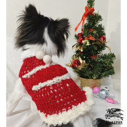 手編み犬服✴︎ 犬服 クリスマス サンタ衣装 サンタクロースワンピース