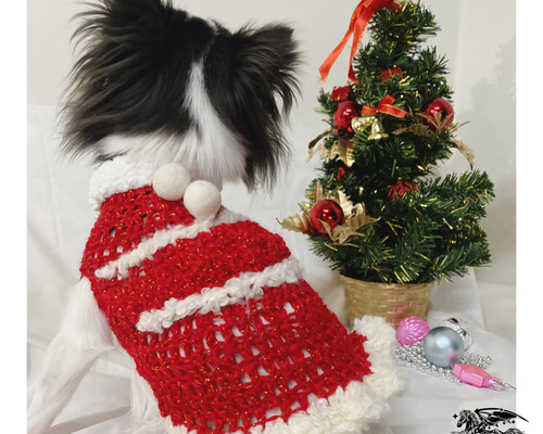 よそゆきワンピース　犬服ハンドメイド　クリスマス　犬服ワンピース　∞TuTu∞ 手編み犬服✴︎ 犬服 クリスマス サンタ衣装 サンタクロース