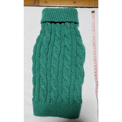 〈お年玉セール〉下記より2割引❤️犬用　手編み　緑のとっくり襟縄編みセーター 1枚目の画像