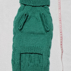 〈お年玉セール〉下記より2割引❤️犬用　手編み　緑のとっくり襟縄編みセーター 3枚目の画像