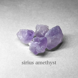 sirius amethyst / シリウスアメジスト C 1枚目の画像
