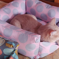 ソファー猫ベッド/藤の籠/キジ猫茶トラ 13枚目の画像